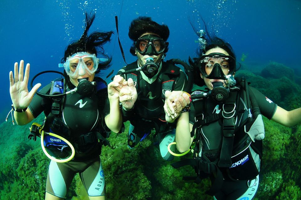 Ibiza Scuba Diving for Beginners and Snorkeling - Reviews and Recommendations