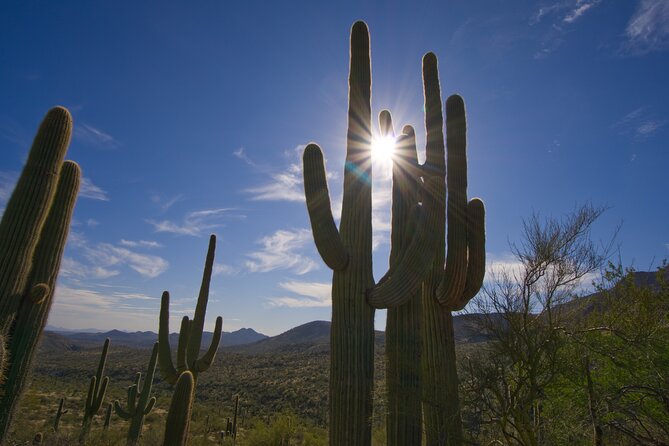 Iconic Toms Thumb Hiking Adventure in Scottsdale - Pricing Details