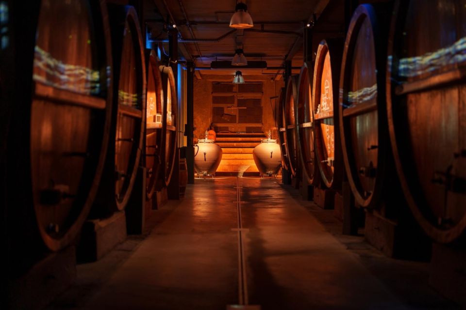 Immersive Cellar Tour, Tasting and Board Meal - Experience Description