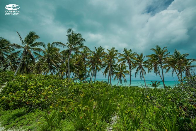 Isla Contoy Eco Adventure - Overall Experience