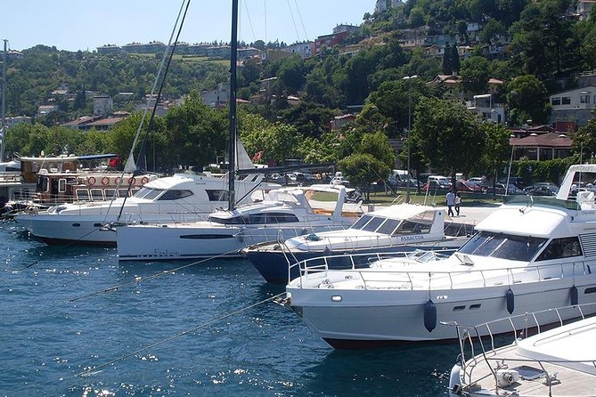 Istanbul Bosphorus Two Continents Tour - Pricing and Booking Details