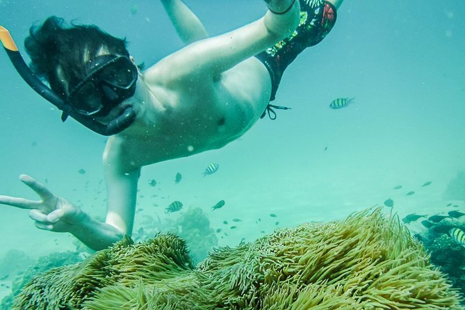 James Bond Island Tour Snorkeling and Nature Kayak Trip - Swimming in Emerald Waters