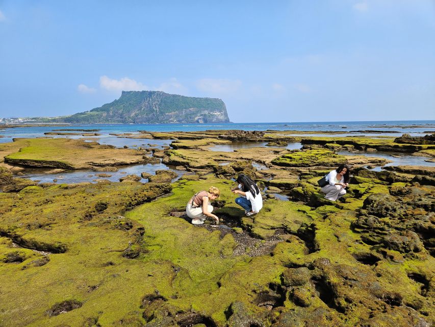 Jeju Island: Full-Day East Jeju Bus Tour With Local Lunch - Customer Reviews