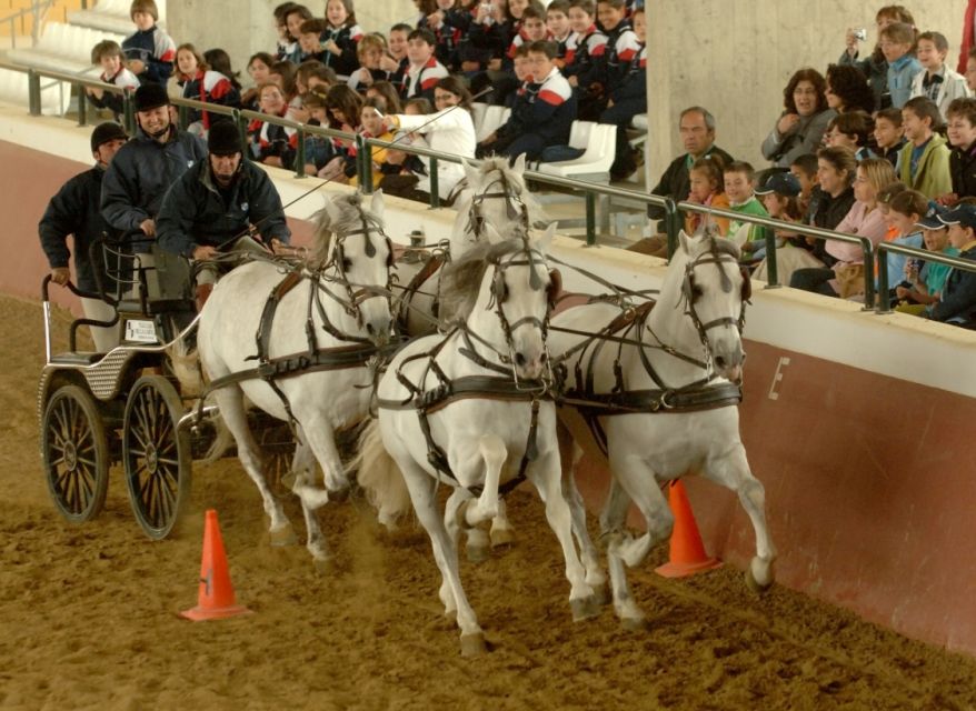 Jerez: Cartuja Stud Farm Carthusian Horses Tour - Traveler Reviews