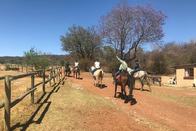 Johannesburg Private Horseback Riding Safari  - Pretoria - Directions