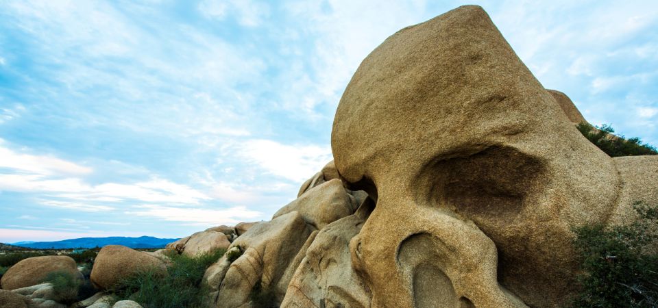 Joshua Tree National Park: Self-Guided Driving Tour - Logistics and Important Information