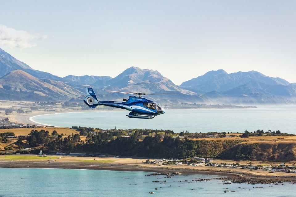 Kaikoura: 1-Hour Whale Watching Helicopter Tour - Location Highlights & Alpine Landing