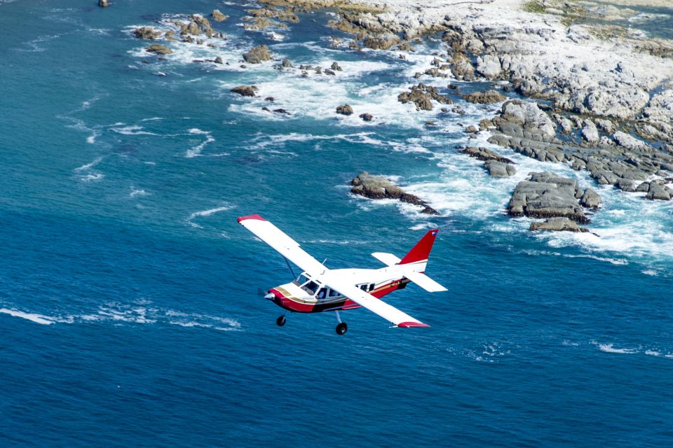 Kaikoura: 40-Minute Whale Watching Flight With Commentary - Free Cancellation Policy