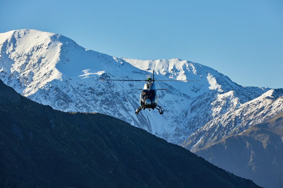 Kaikōura: 45-Minute Whale Watching Helicopter Tour - Customer Reviews