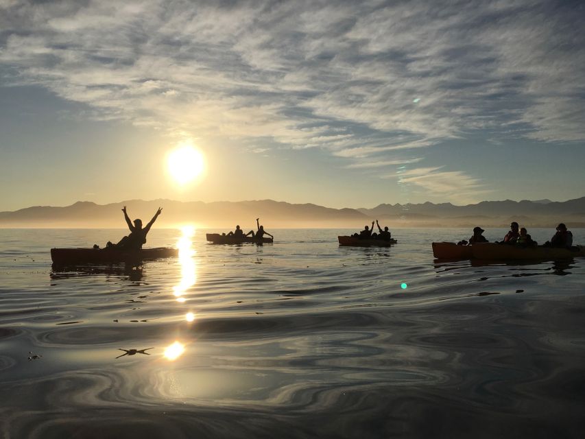 Kaikoura: Seal-Watching Pedal Kayak Tour - Additional Information