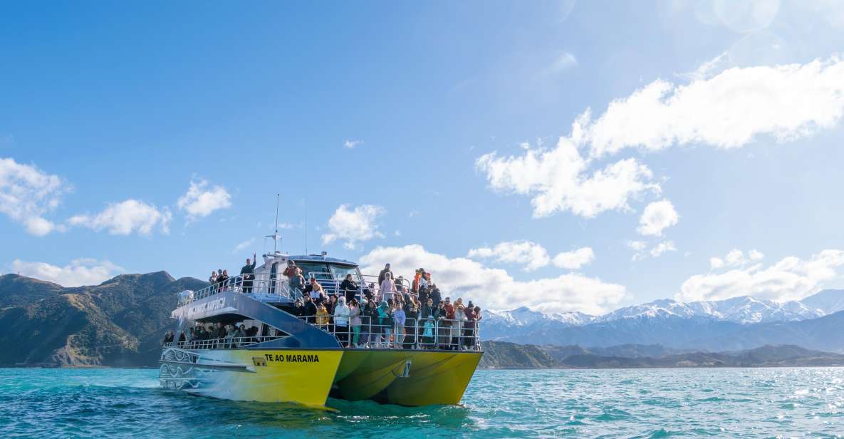 Kaikoura: Whale Watching Cruise - Location Information