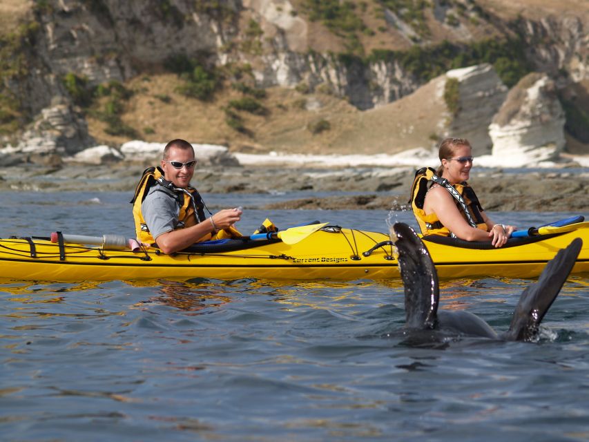 Kaikoura: Wildlife Kayaking Tour at Sunset - Kaikoura Sunset Kayak Details
