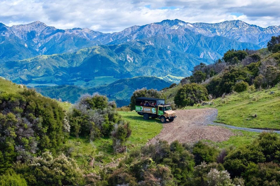 Kaikōura: Zipline and Native Forest Adventure Trip - Booking Details