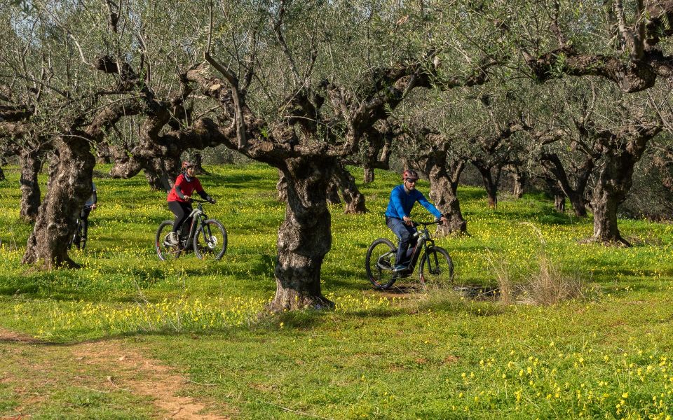 Kalamata: Olive Grove E-Mountain Bike Tour With Picnic Lunch - Important Information