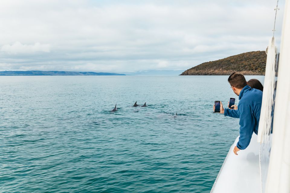 Kangaroo Island: 75-Minute Coastal Safari - Activity Details