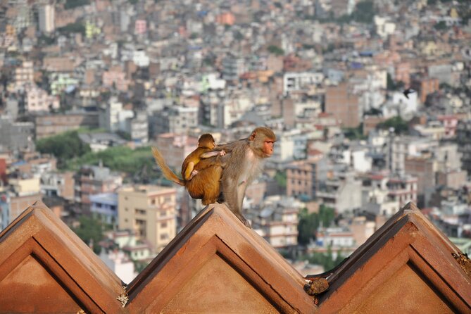 Kathmandu Major UNESCO World Heritage Sites Tour - Admission Fees and Inclusions