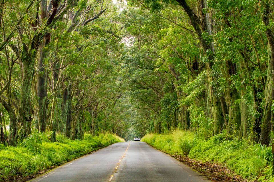 Kauai: Island Highlights Self-Guided Audio Driving Tour - Important Information