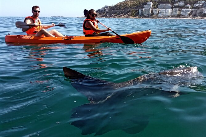 Kayak Adventure at Clifton Beach - Weather Considerations