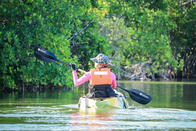 Kayak Adventure in Cancun - Background