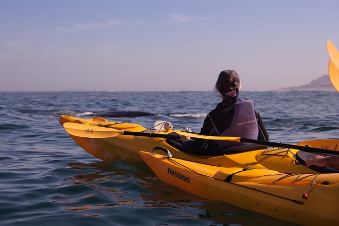 Kayak Chapmans Peak and Karbonkelberg in Hout Bay - Last Words