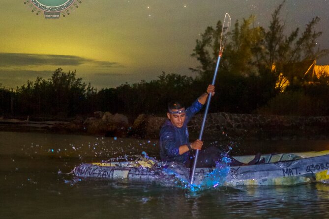Kayak Experience and Swiming With the Bioluminescence in Holbox - Safety Measures