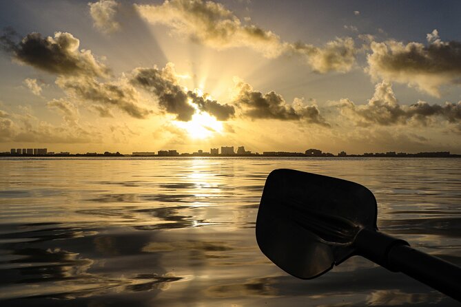 Kayak Tour at Sunset in Cancun - Traveler Reviews and Feedback