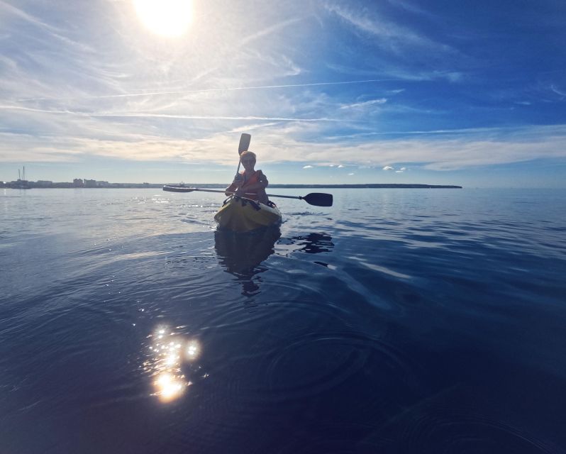 Kayak Tour Playa De Palma - Last Words