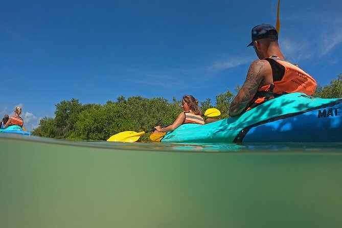 Kayaking Tour Through the Mangroves in Isla Holbox - Guide Expertise and Overall Experience