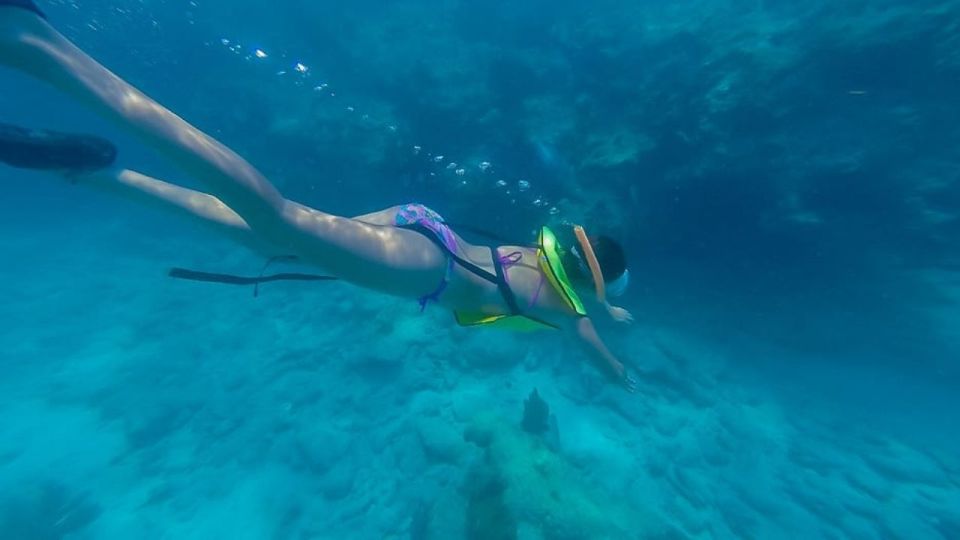 Key West: 3-Hour Coral Reef Snorkeling - Things to Remember