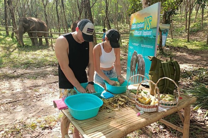 Khao Lak Elephant Sanctuary Tour With Waterfall and Lunch - Itinerary Details