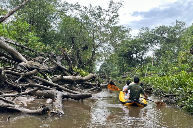 Khao Lak Elephant Sanctuary Visit and Mangrove Kayak Tour - Payment Options and Inclusions