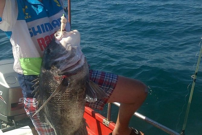 Knysna Fishing - All-Inclusive Fishing Package