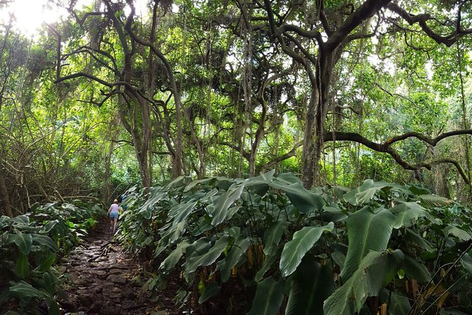 Koolau Waterfall Hike - Viator Assistance