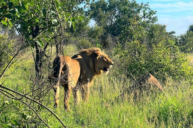 Kruger National Park Full Day Guided Tour - Last Words