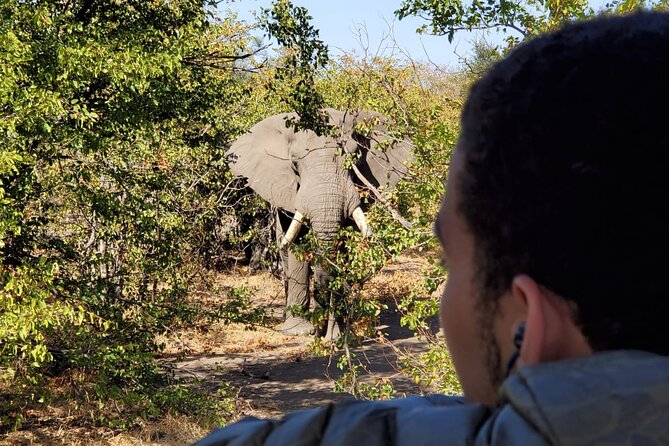 Kruger National Park Private Guided Tour - Pricing Details