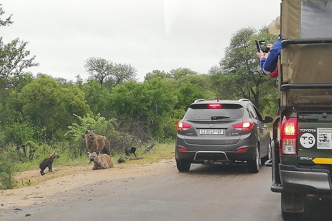 Kruger National Park Safari With Panorama 4 Days Private - Last Words