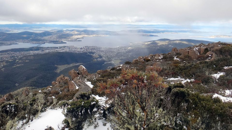 Kunanyi & Mt Wellington Explorer Bus: One-Way Bus Pass - Customer Reviews