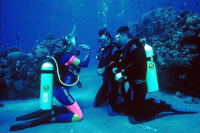 Kusadasi Beginners Discover Scuba Dive W/Transfers & Lunch - Weather Considerations and Alternatives