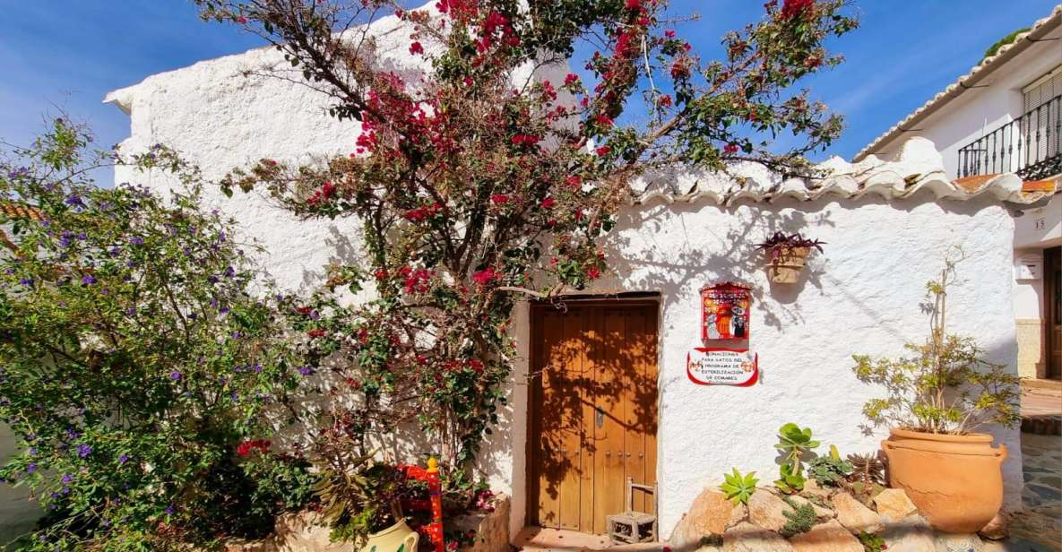 La Axarquia White Villages & Buddhist Stupa - SemiPrivate - Booking Information