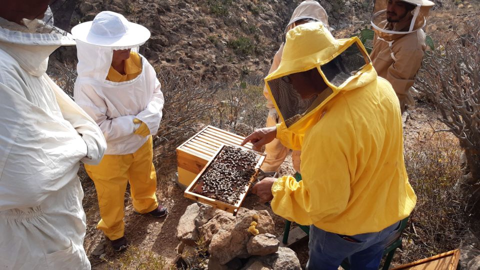 La Gomera: Flower Guided Tour With Butterflies and Bees - Inclusions and Price