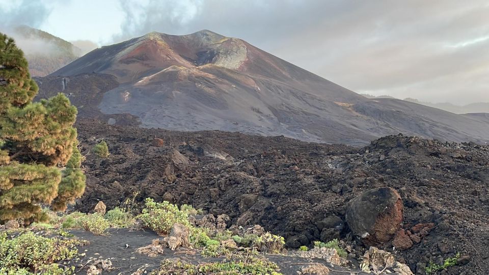 La Palma: Guided Tour to Tajogaite Volcano With Transfer - Common questions
