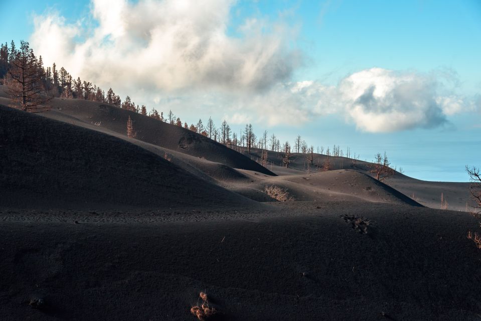 La Palma: Guided Volcano Trekking Tour - Free Cancellation Policy