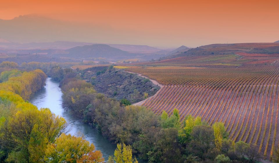 La Rioja Vineyards Private Tour From Bilbao (3 Vineyards) - Tour Inclusions