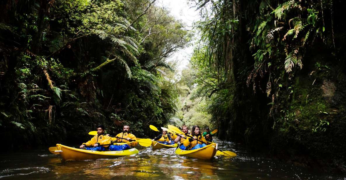 Lake Karapiro: Evening Kayak Glowworm Tour - Customer Reviews