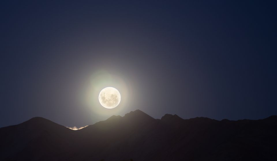 Lake Tekapo: Stargazing Experience - Comfort and Amenities Provided