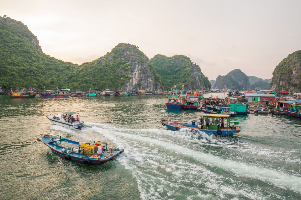 Lan Ha Bay - Kayaking 1 Day on Cruise - Booking Options and Policies