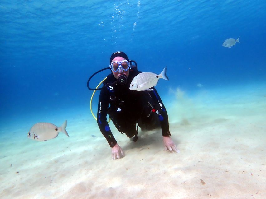 Lanzarote: Beginner Diving Course Costa Teguise (2 Dives) - Customer Reviews