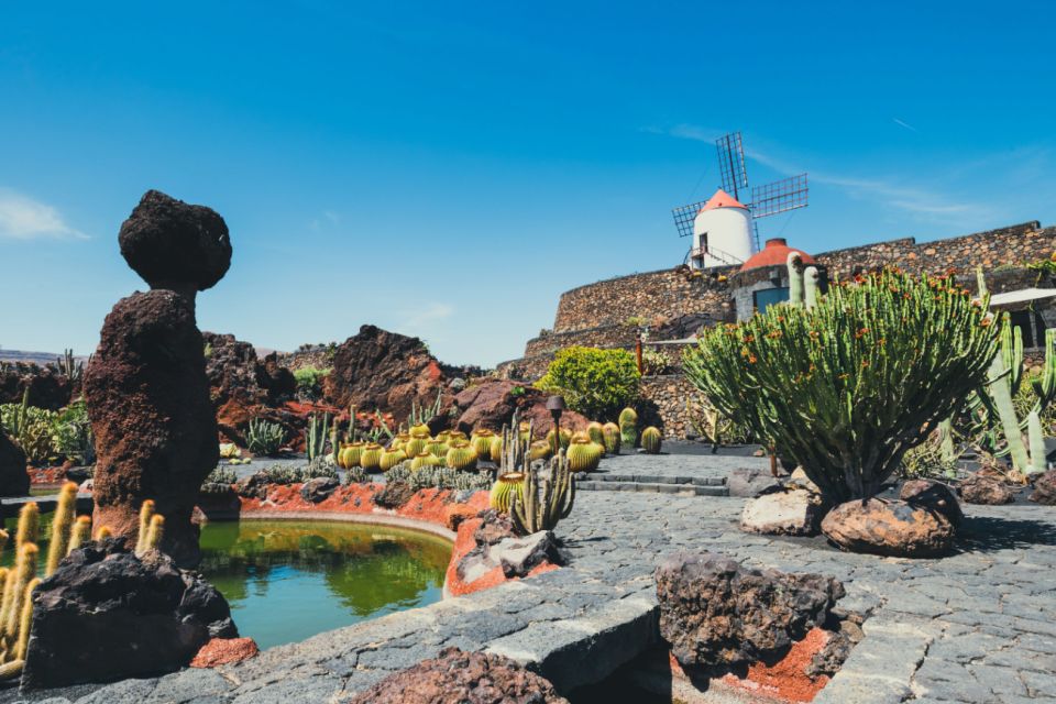 Lanzarote: César Manrique Full-Day Tour - Customer Reviews and Ratings