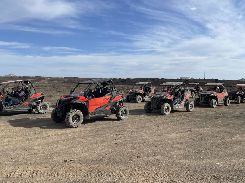 Lanzarote: Guided Can-Am Trail Buggy Tour - Review Summary