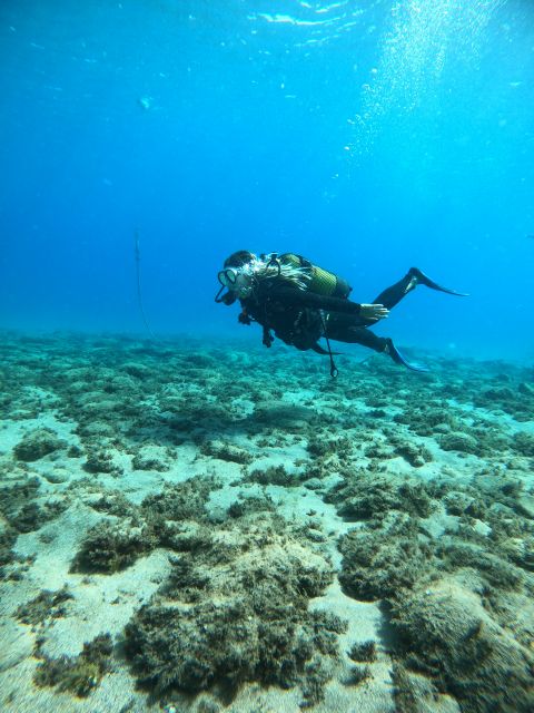 Lanzarote: Intro to Diving Experience for Beginners - Location and Activity Details